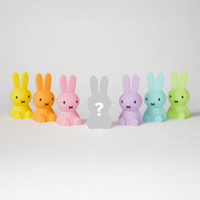 Laden Sie das Bild in den Galerie-Viewer, Miffy Colourful Surprise Collection