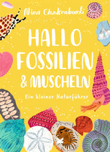 Laden Sie das Bild in den Galerie-Viewer, Hallo Fossilien &amp; Muscheln ab 6J.