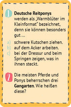 Laden Sie das Bild in den Galerie-Viewer, Pocket Games Quiz