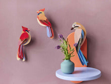 Laden Sie das Bild in den Galerie-Viewer, Cardinals